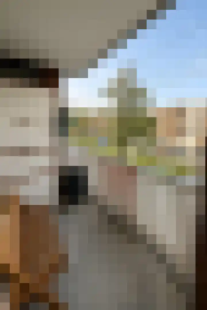 Lou Jansenplein 45 2 Amsterdam thumbnail 13