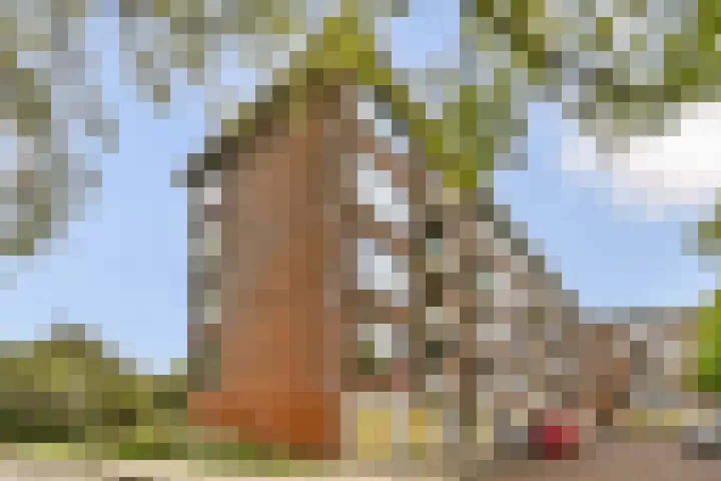 Lou Jansenplein 5 H Amsterdam thumbnail 22