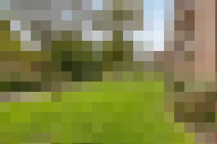 Lou Jansenplein 7 2 Amsterdam thumbnail 18