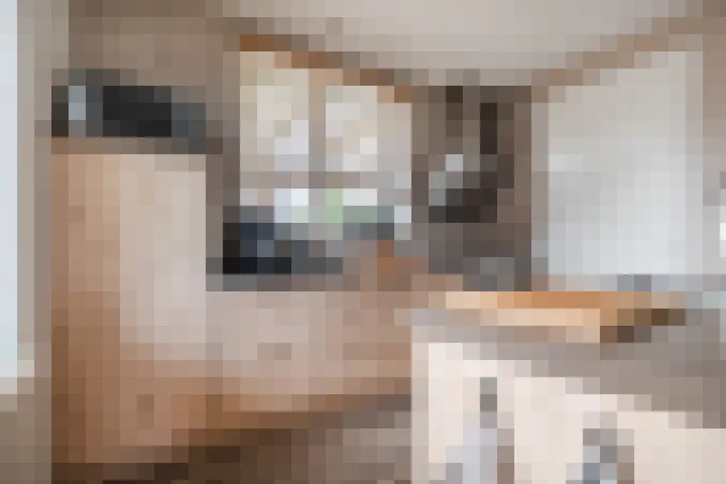 Lou Sânen 17 Easternijtsjerk thumbnail 13