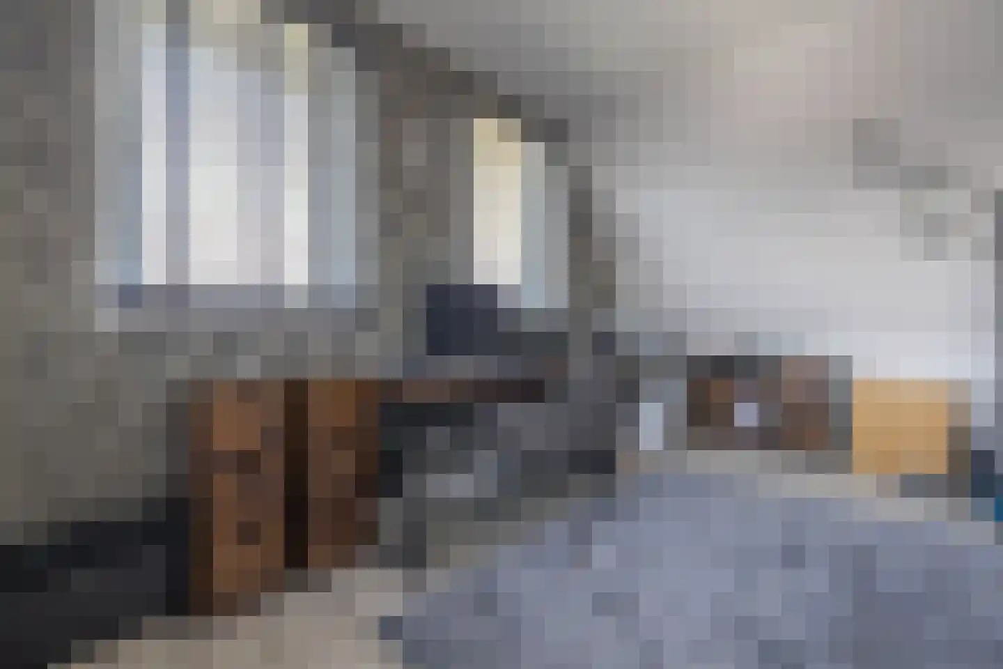 Lou Sânen 17 Easternijtsjerk thumbnail 32