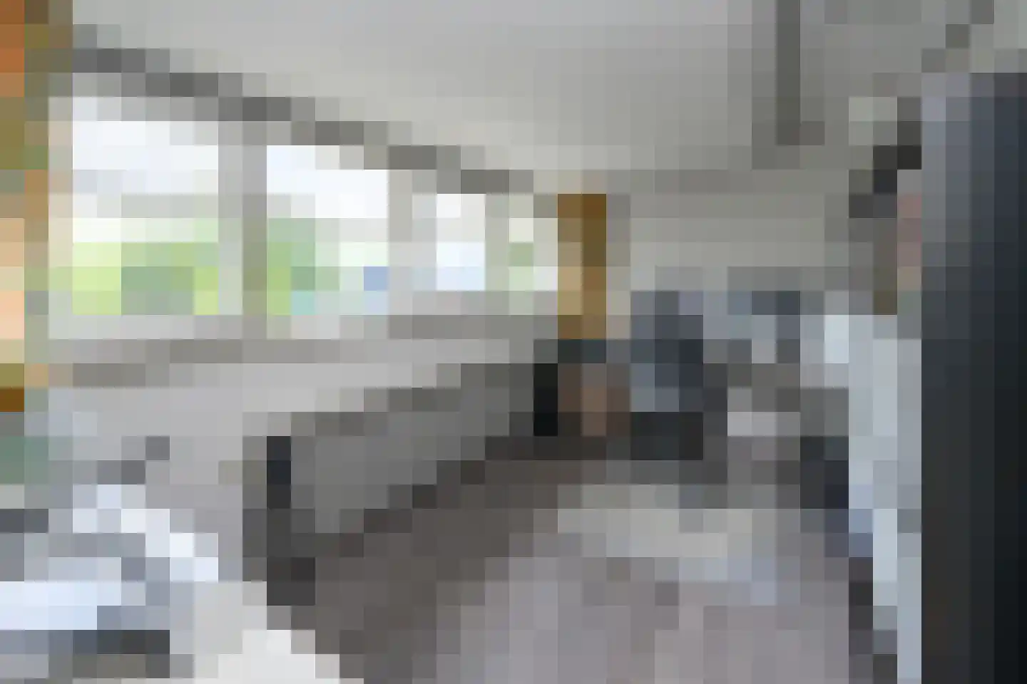 Loubergweg 18 Eerbeek thumbnail 17