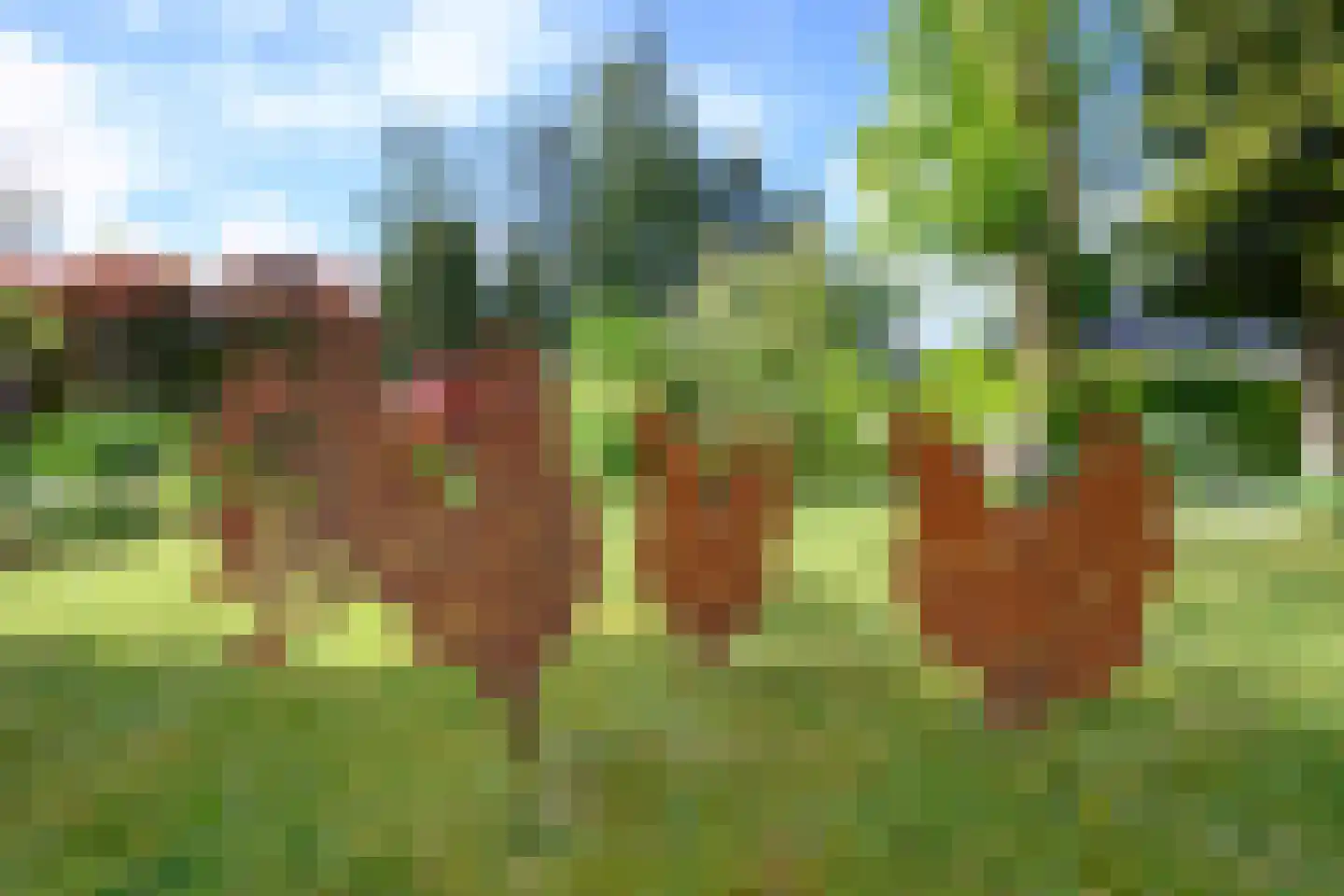 Loubergweg 18 Eerbeek thumbnail 22