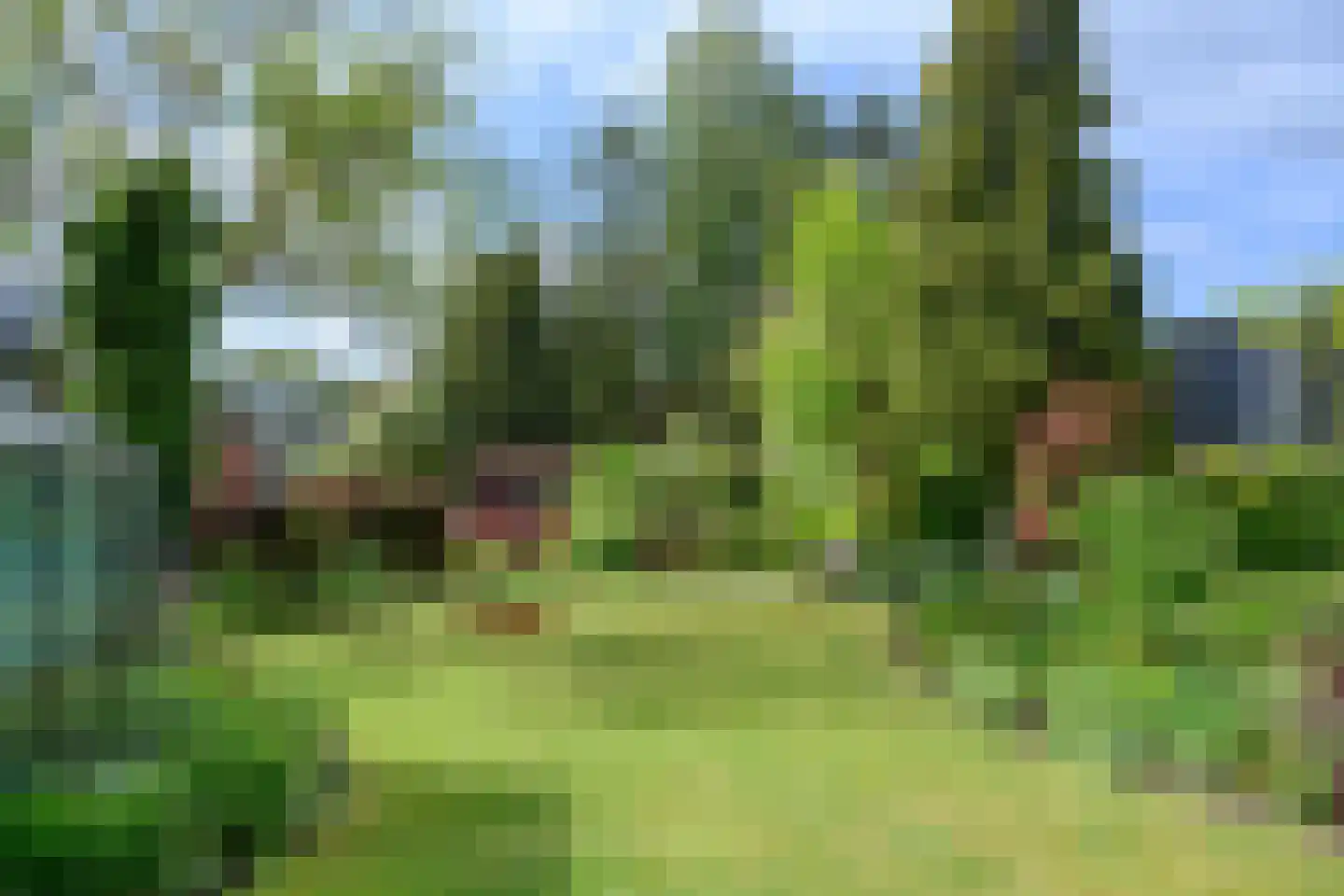 Loubergweg 18 Eerbeek thumbnail 25