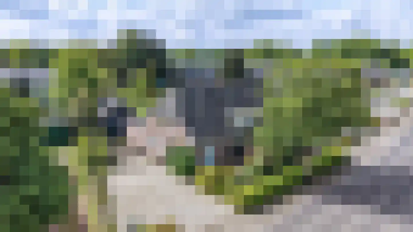 Loubergweg 18 Eerbeek thumbnail 29