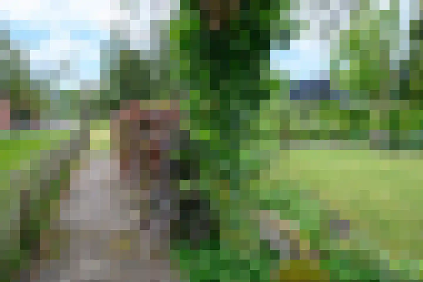 Loubergweg 18 Eerbeek thumbnail 31
