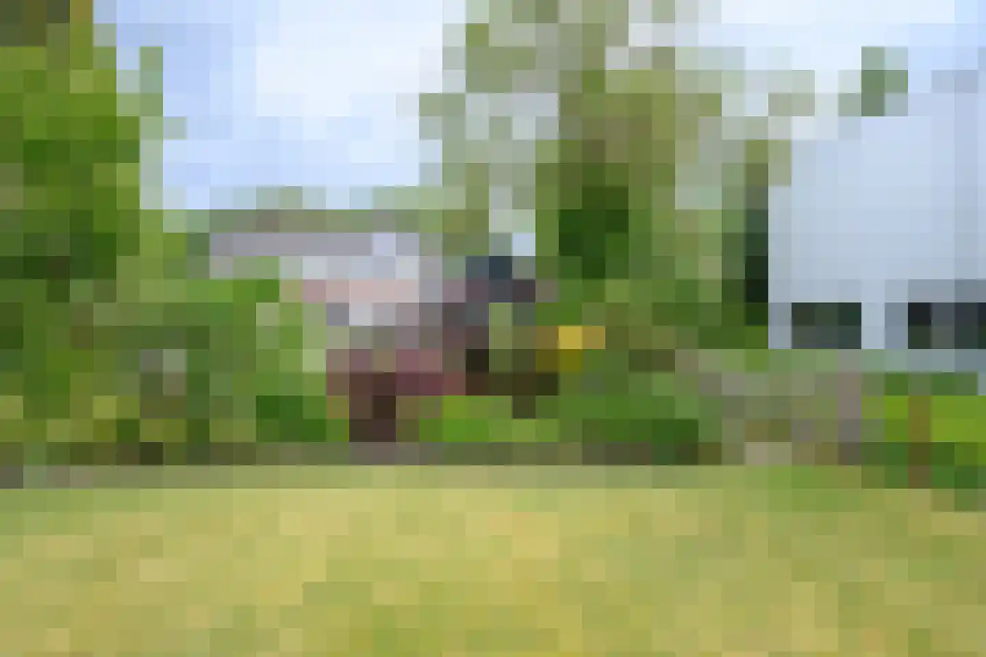 Loubergweg 18 Eerbeek thumbnail 32