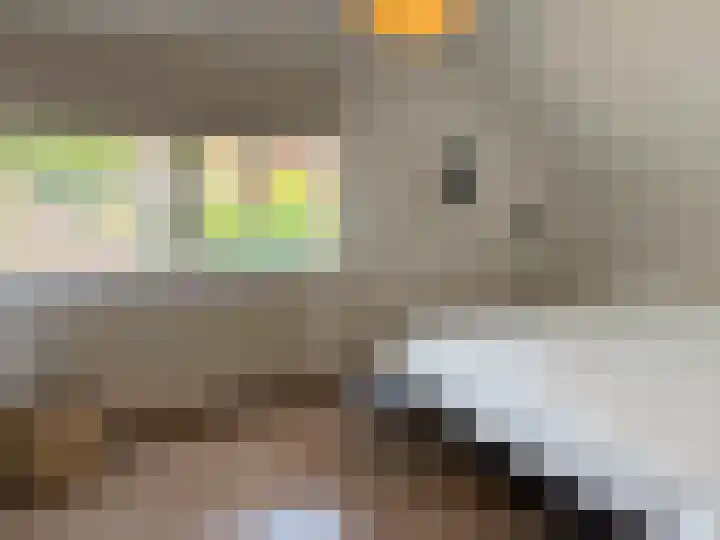 Loudelsweg 20 Bergen (NH) thumbnail 21