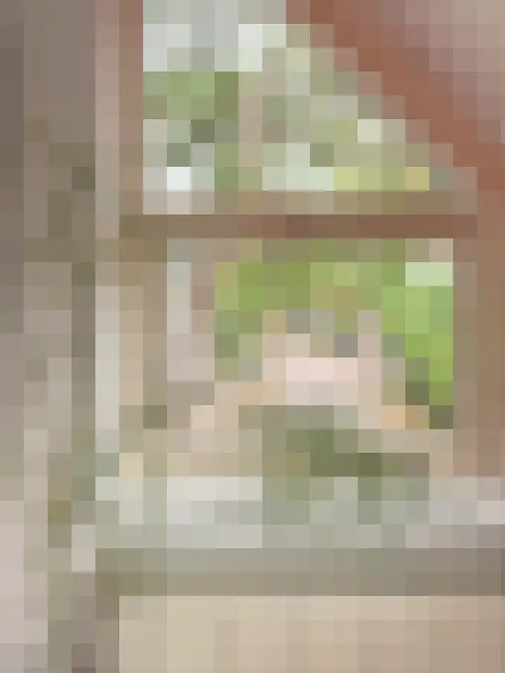 Loudelsweg 20 Bergen (NH) thumbnail 27
