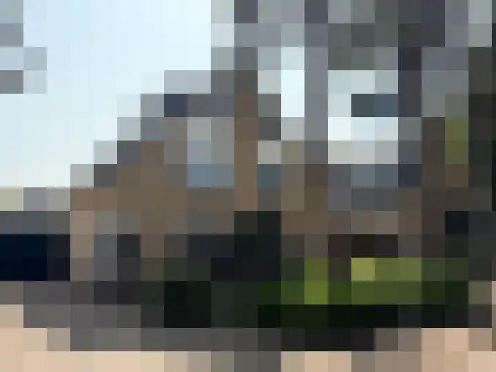 Loudelsweg 20 Bergen (NH) thumbnail 33