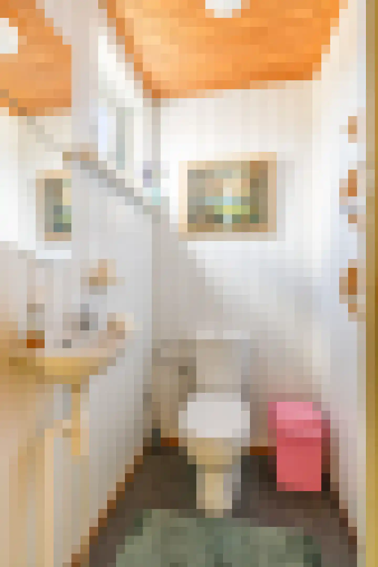 Loudonstraat 29 Apeldoorn thumbnail 39