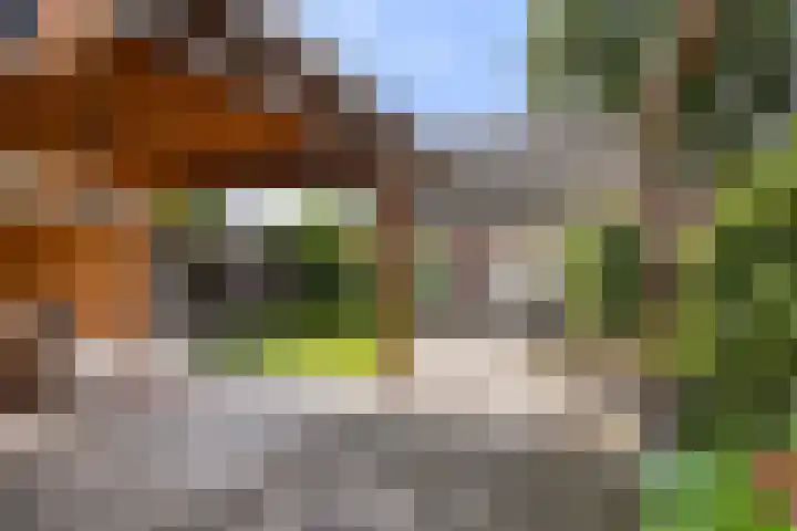 Loudonstraat 30 Apeldoorn thumbnail 16