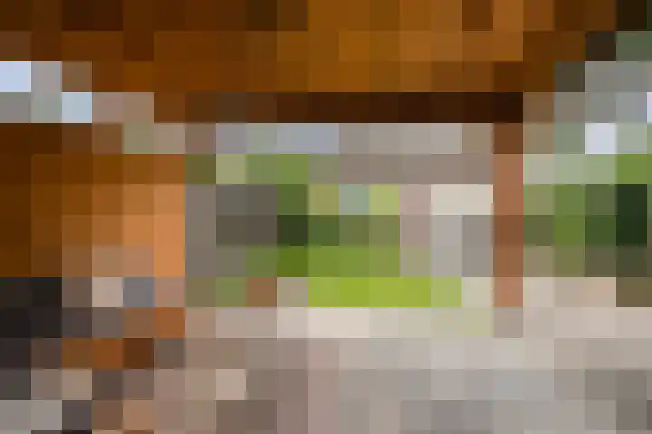 Loudonstraat 30 Apeldoorn thumbnail 21