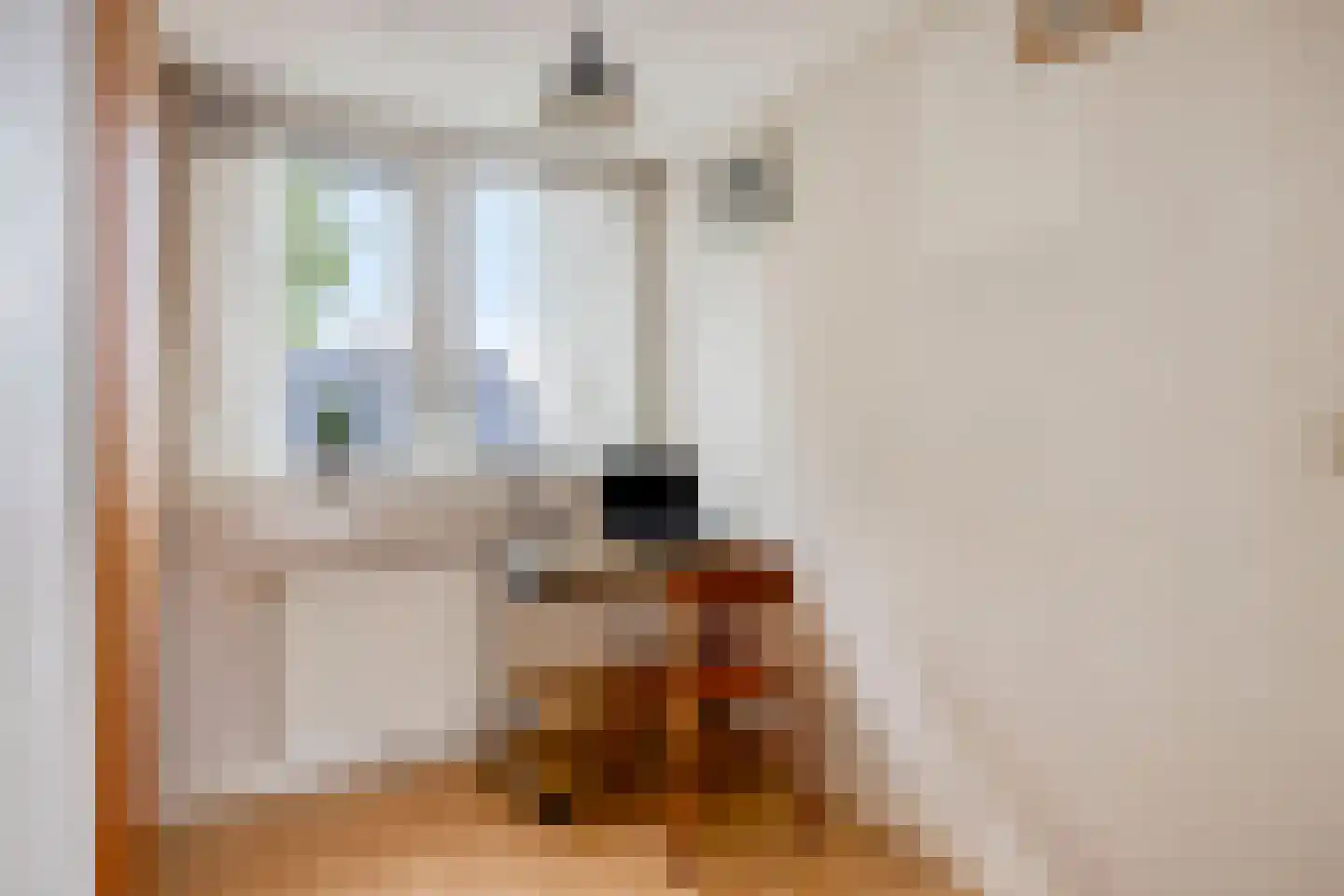 Loudonstraat 45 Apeldoorn thumbnail 15