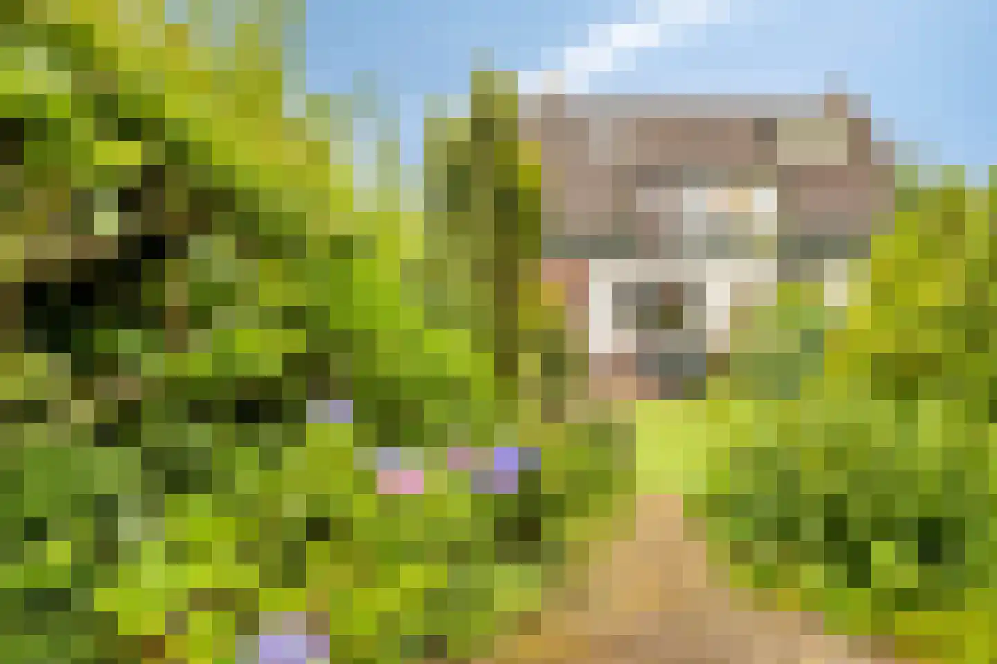 Loudonstraat 45 Apeldoorn thumbnail 22