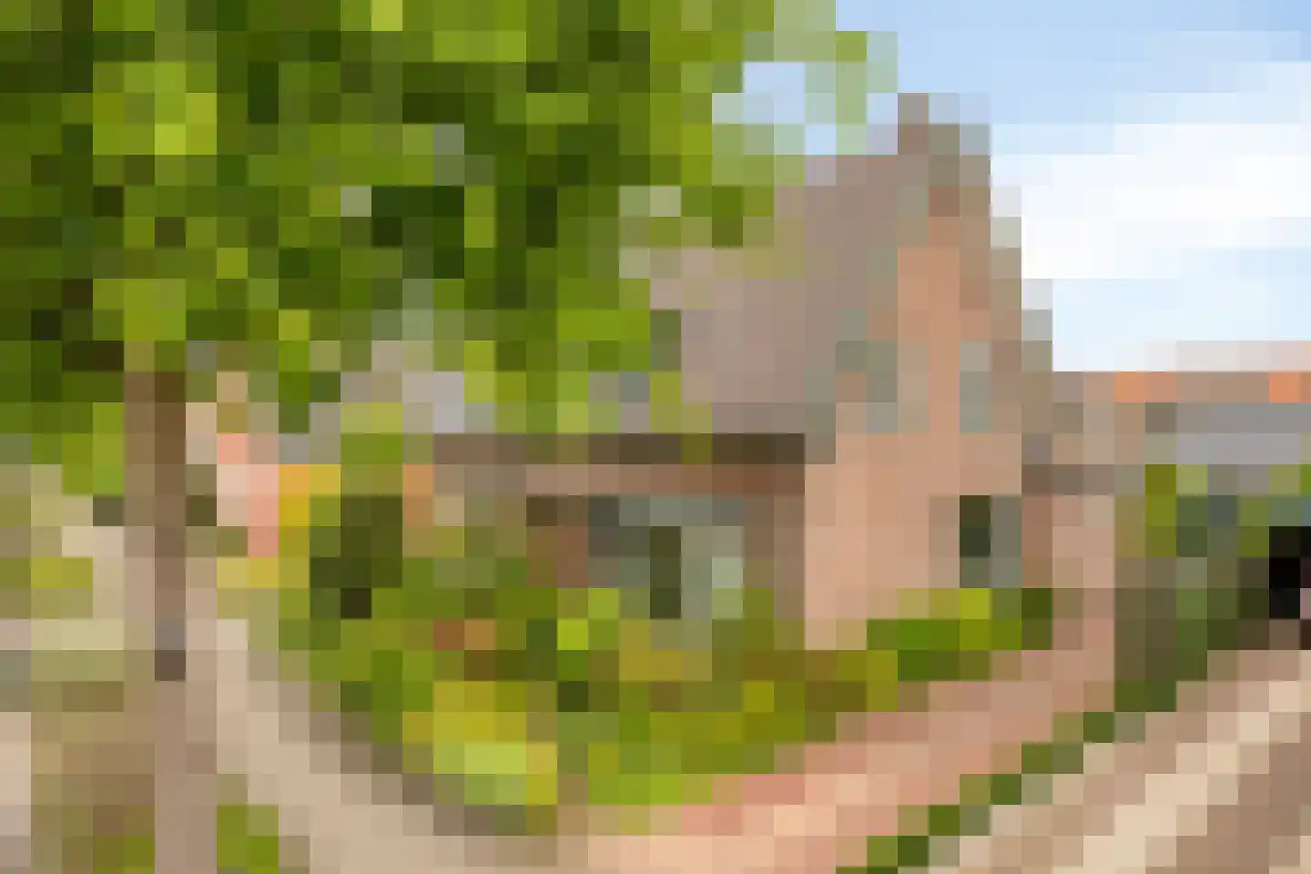 Loudonstraat 45 Apeldoorn thumbnail 28