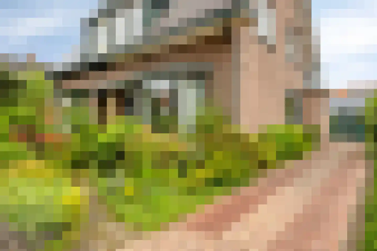Loudonstraat 45 Apeldoorn thumbnail 31