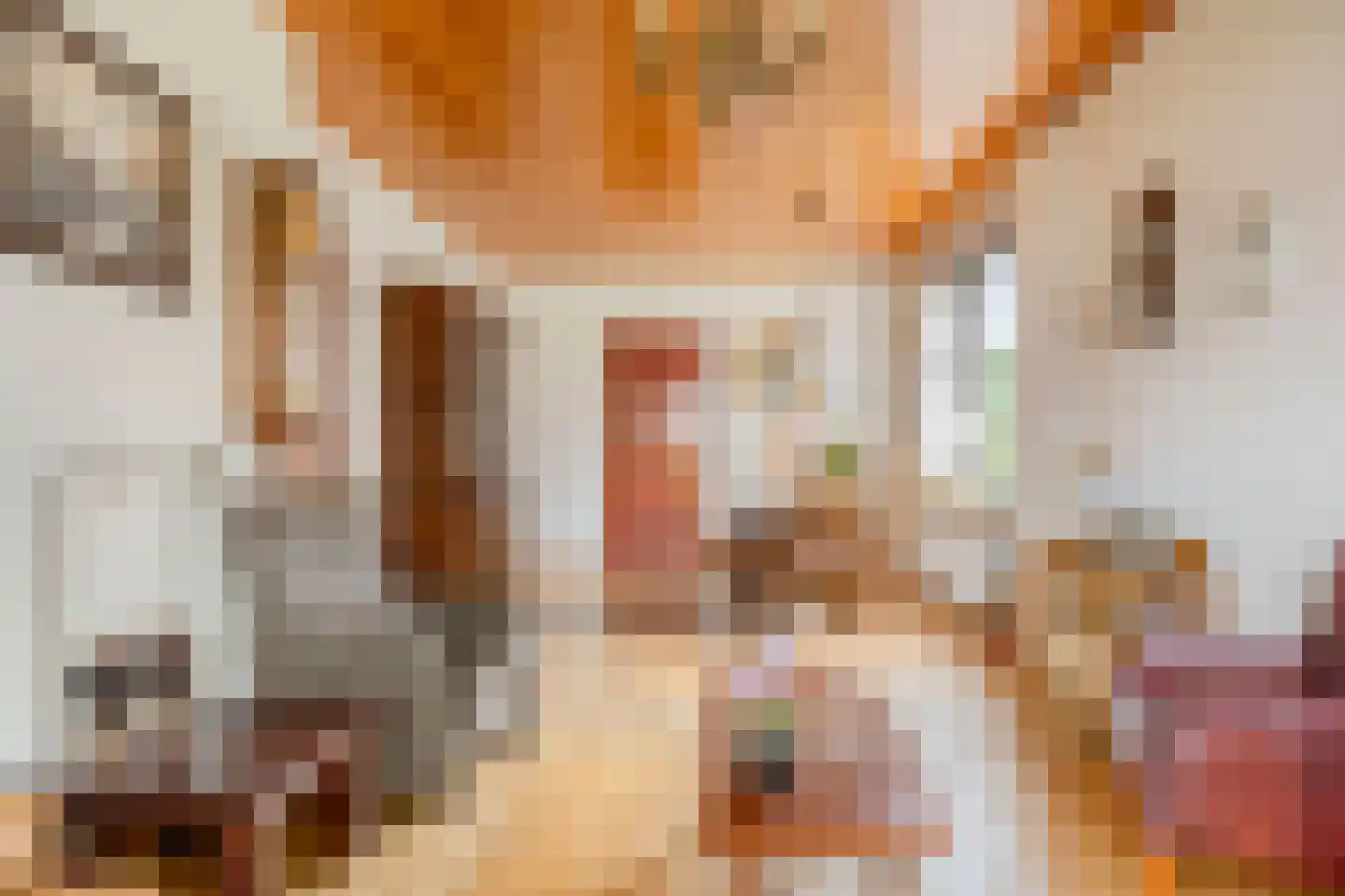 Loudonstraat 45 Apeldoorn thumbnail 6