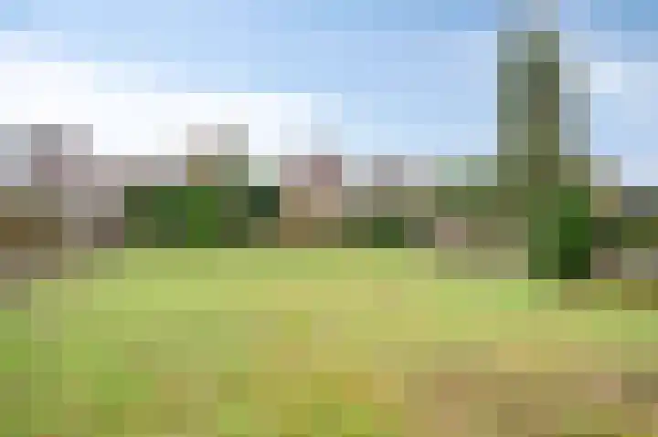 Louerstraat 11 Susteren thumbnail 22