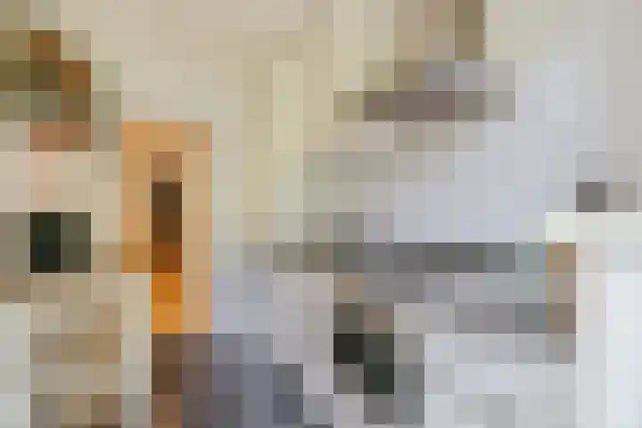 Louerstraat 11 Susteren thumbnail 23