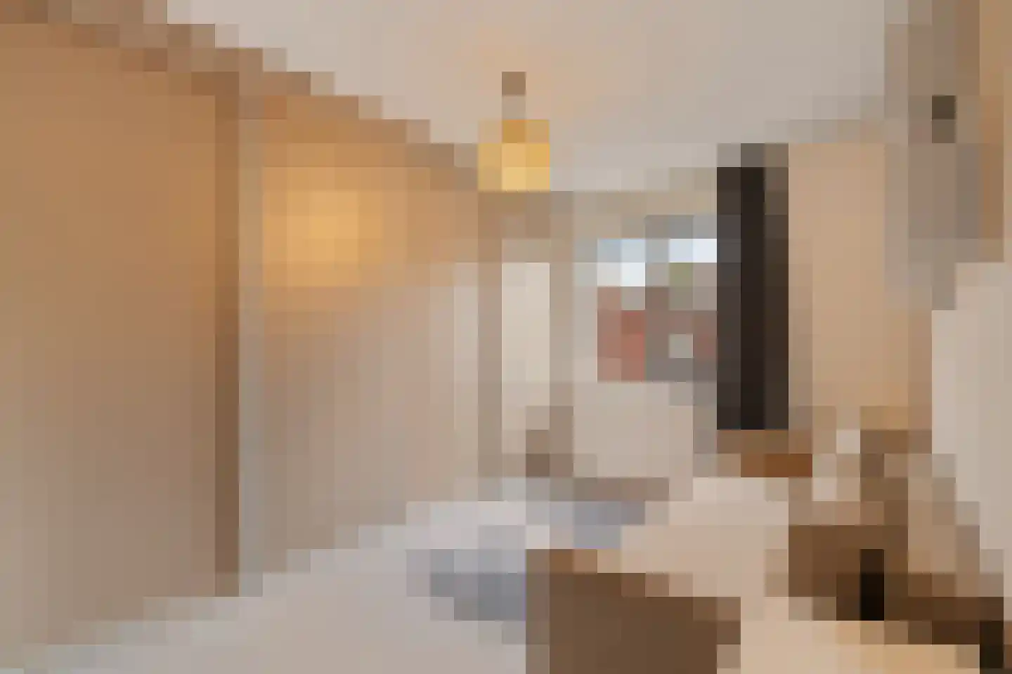 Louis Aragonplein 48 Rotterdam thumbnail 24