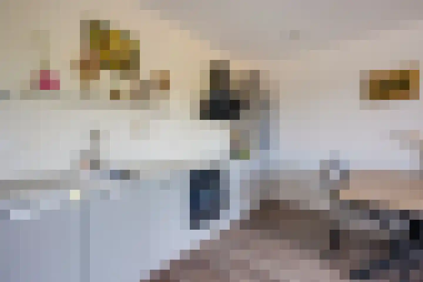 Louis Armstronglaan 558 Utrecht thumbnail 16