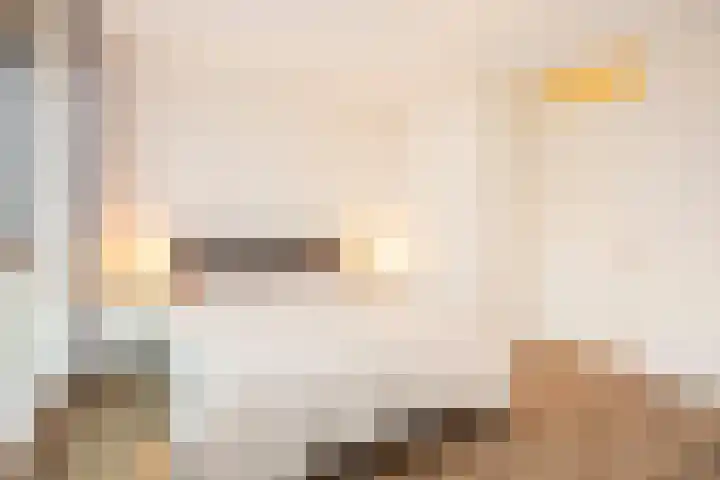 Louis Armstronglaan 562 Utrecht thumbnail 16