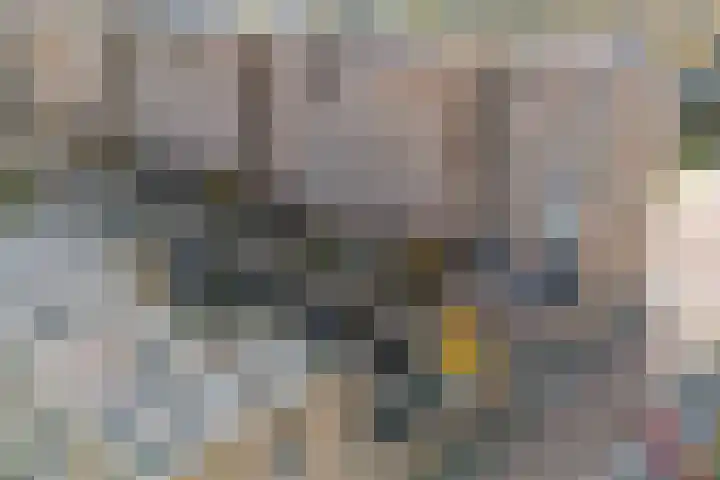 Louis Armstronglaan 568 Utrecht thumbnail 31