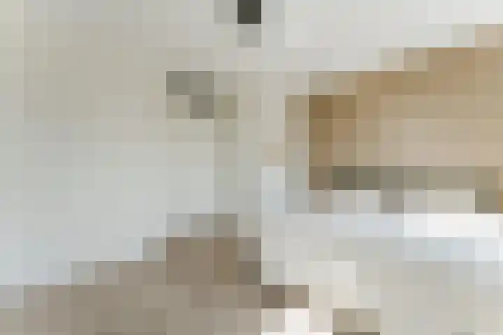 Louis Armstronglaan 634 Utrecht thumbnail 30