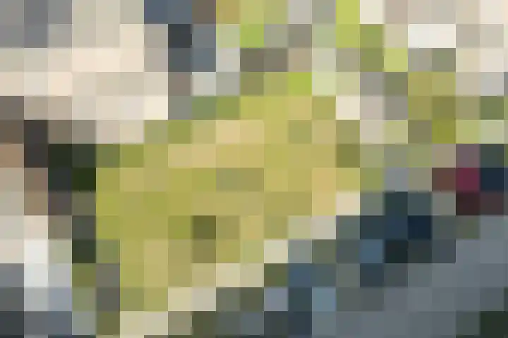 Louis Armstronglaan 634 Utrecht thumbnail 45