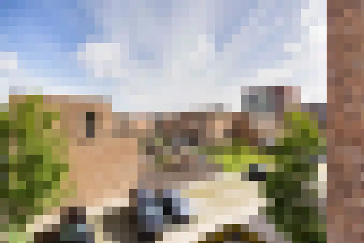 Louis Armstronglaan 664 Utrecht thumbnail 29