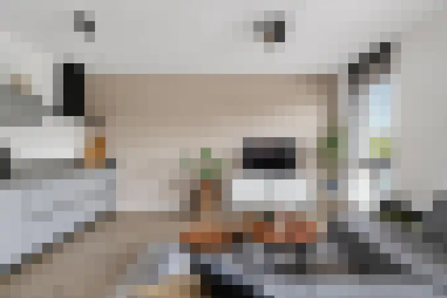 Louis Armstronglaan 694 Utrecht thumbnail 14