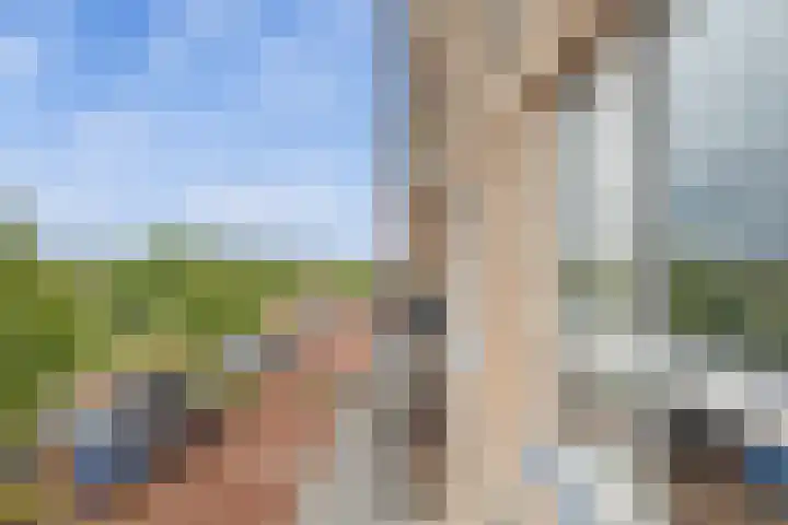 Louis Armstronglaan 700 Utrecht thumbnail 24