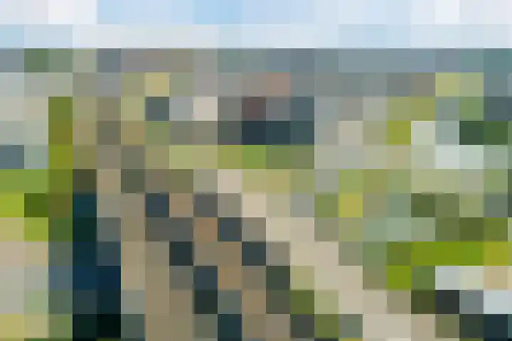 Louis Armstronglaan 746 Utrecht thumbnail 33