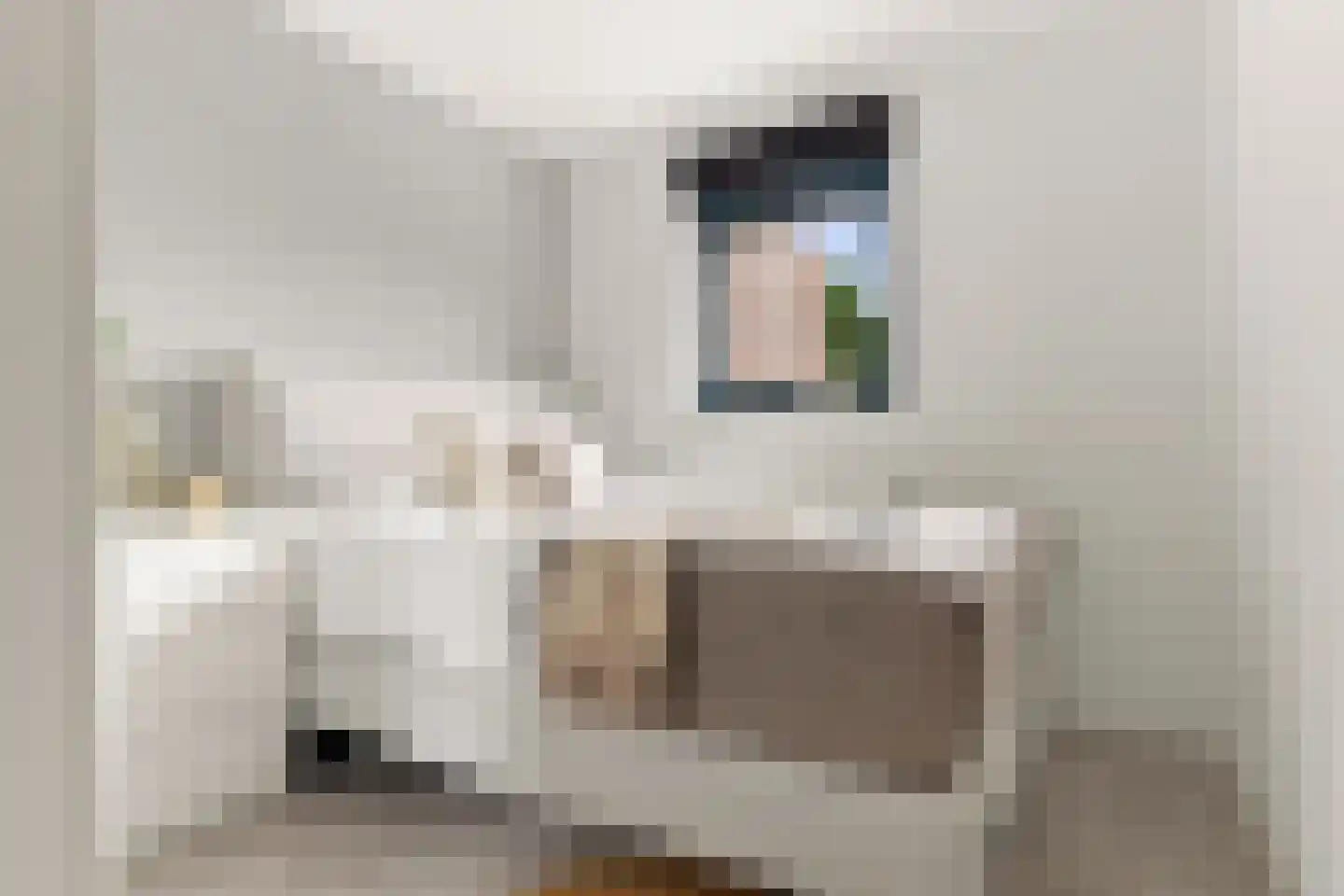 Louis Armstrongstraat 14 Zaandijk thumbnail 21