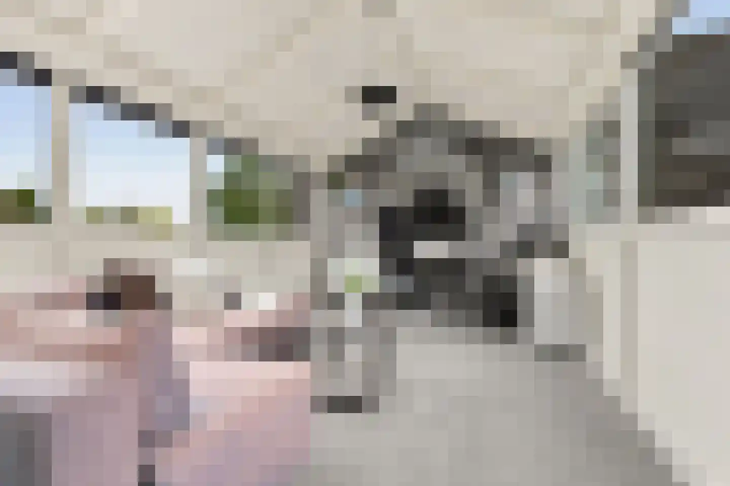 Louis Armstrongstraat 14 Zaandijk thumbnail 30