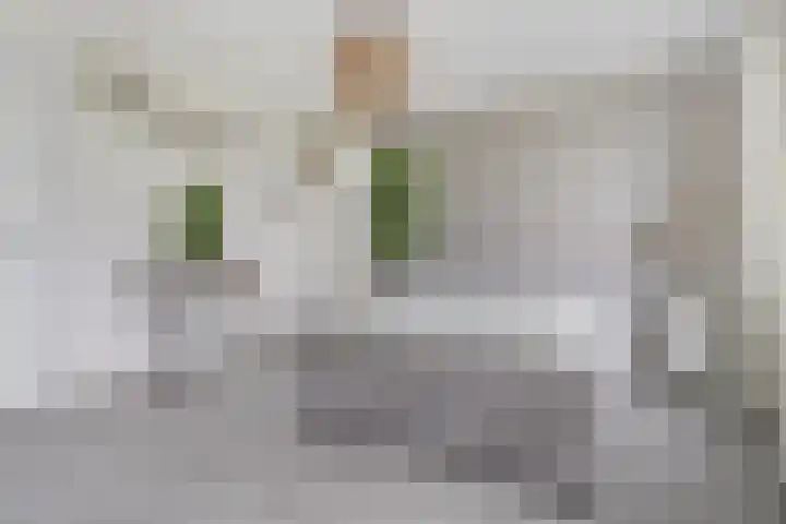 Louis Armstrongstraat 2 Middelburg thumbnail 14