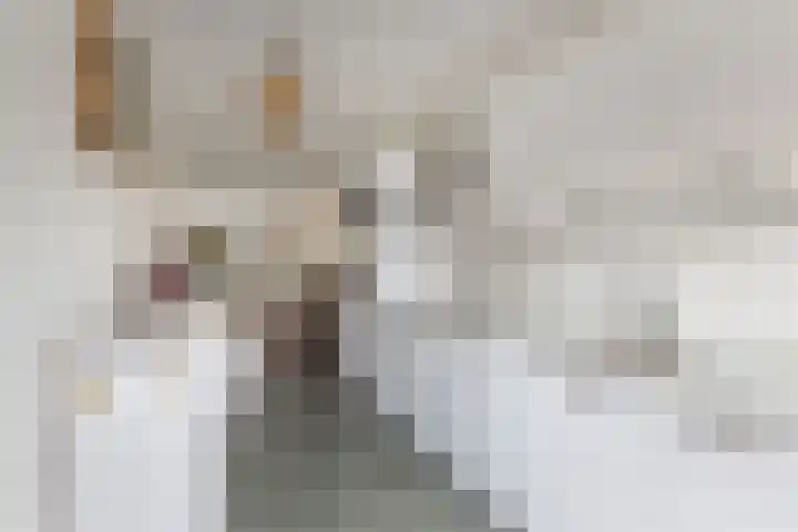 Louis Armstrongstraat 30 Zaandijk thumbnail 24
