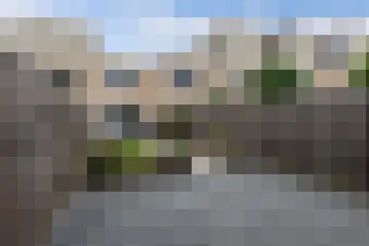 Louis Armstrongstraat 30 Zaandijk thumbnail 30