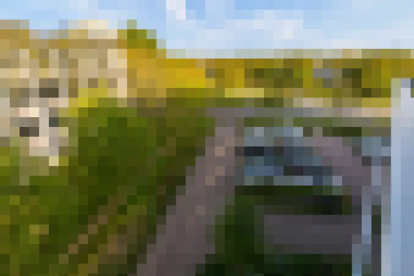 Louis Armstrongweg 60 H Almere thumbnail 20