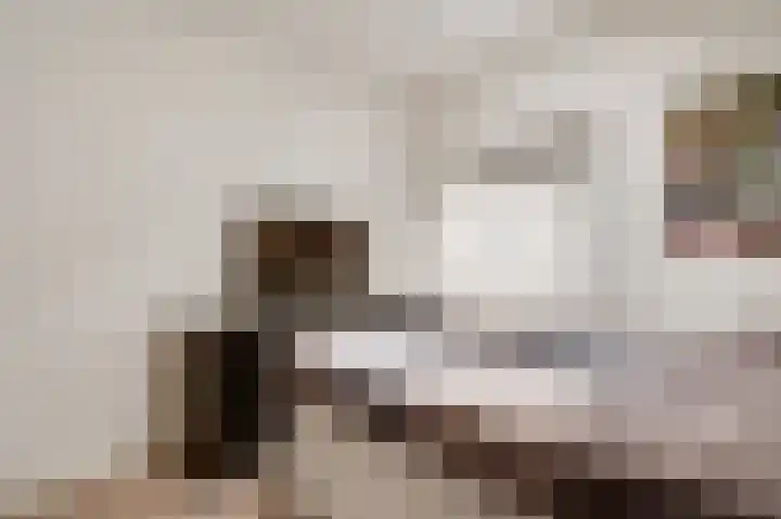 Louis Beelstraat 7 Herten thumbnail 13