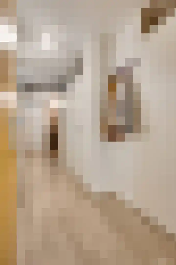 Louis Beelstraat 7 Herten thumbnail 19