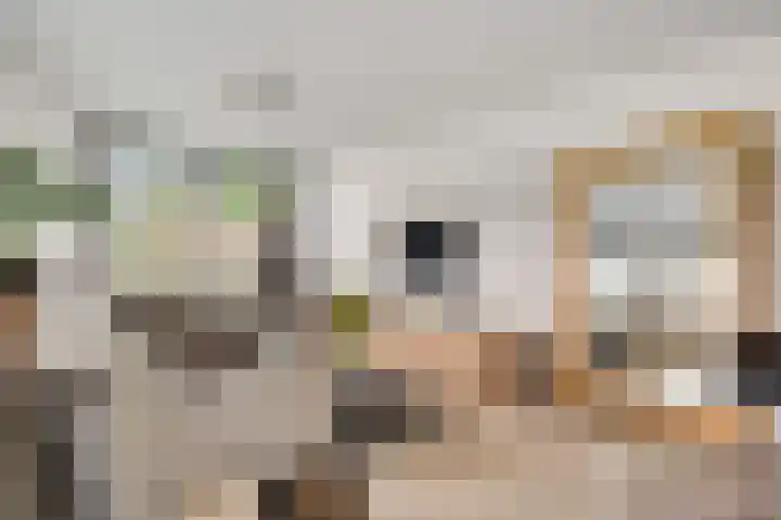 Louis Beelstraat 7 Herten thumbnail 5