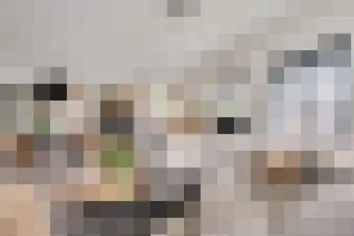 Louis Beelstraat 7 Herten thumbnail 6
