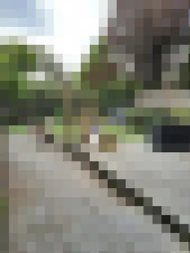Louis Beerenbrouckstraat 29 Weert thumbnail 37