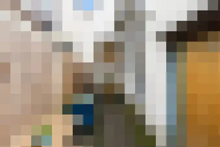 Louis Bothastraat 3 Dordrecht thumbnail 20