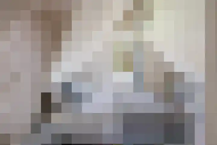 Louis Bothastraat 3 Dordrecht thumbnail 23