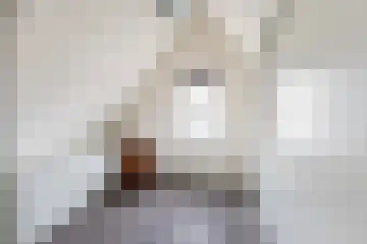 Louis Bothastraat 3 Dordrecht thumbnail 26