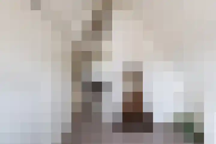 Louis Bothastraat 3 Dordrecht thumbnail 27