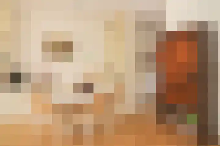 Louis Bouwmeesterlaan 143 Utrecht thumbnail 16
